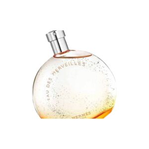 Hermès Eau des Merveilles Eau de Toilette 100 ml