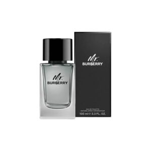 Burberry Mr. Burberry Eau de Toilette 100 ml